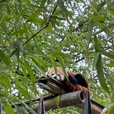 好好吃饭🍚🍽