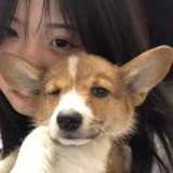 菜且不卷的咸鱼