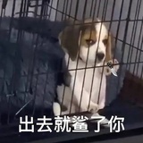 无知是恶