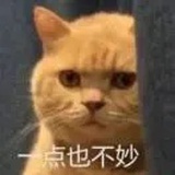 感觉不妙