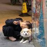 臧佳妮