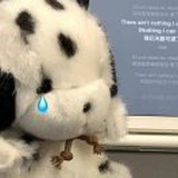 达咩呀🥕