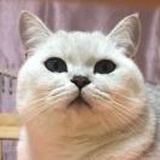 潘潘壮士
