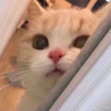 西门少年LLZ