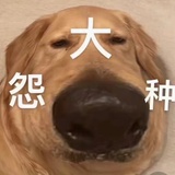 我也会练英雄