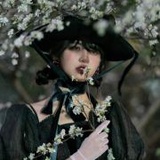 闻莺