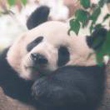 豆友2_K41f_jig