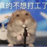 42岁离异带三娃