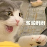 周末1723