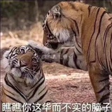 豆豆