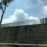 语生