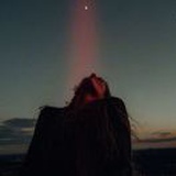 飘向北方的白兰鸽