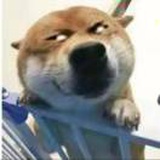 地主家傻苟