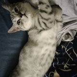 东盟3