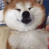 豆友2679848891