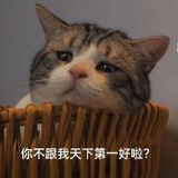 笨蛋小狗会修沟