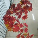 电动滑板车群主