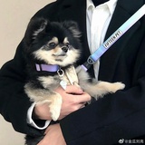 叽咕叽咕