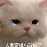 人间小苦瓜
