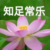 牛奶秋刀鱼