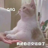 草莓草莓奶fufu