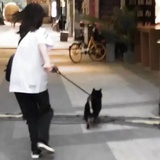 究极体大卡车
