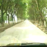 马上上岸