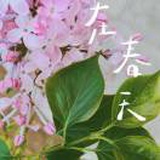 豆友xo3HEWN57I