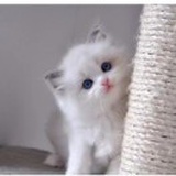小汐