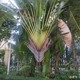 豆友257095190