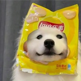臭陈皮