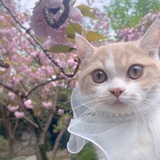 孩子妈