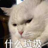 钮钴禄·虎🐯