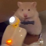 取名中（重生版