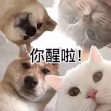 十万个心情