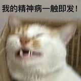 已摆烂