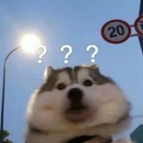 豆友7346248490