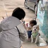 今天躺了吗