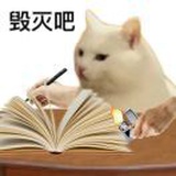 zy