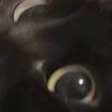 豆友svHFJvoT1Q