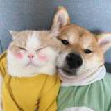 豆友zLkUqQ5uyo