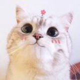 今天攒钱了吗