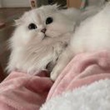豆友x_rKHBMpbo