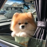 溺.