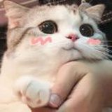 向日葵