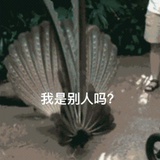 一只兔吱的自白