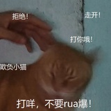 喻帘