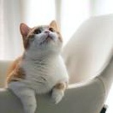 豆友_iJcQoK0Zw