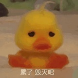 吃瓜路人