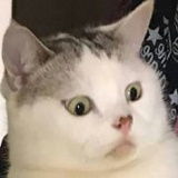 中村海人